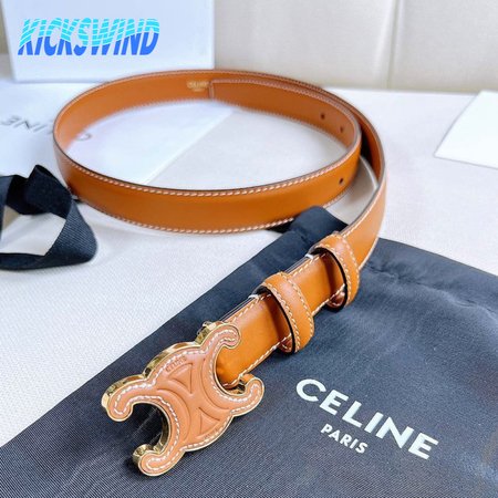Celine Triomphe Series Belt
