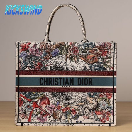 Dior Book Tote Bag