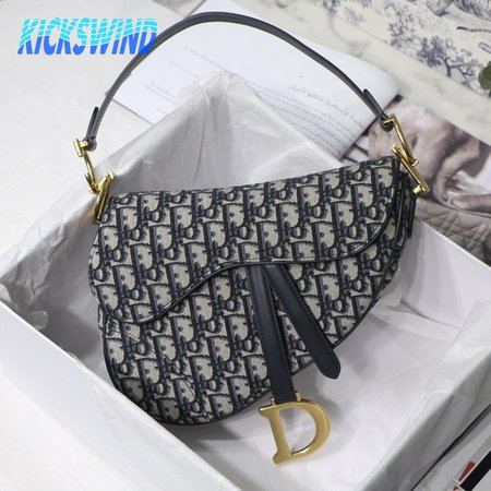 Dior Saddle M3351