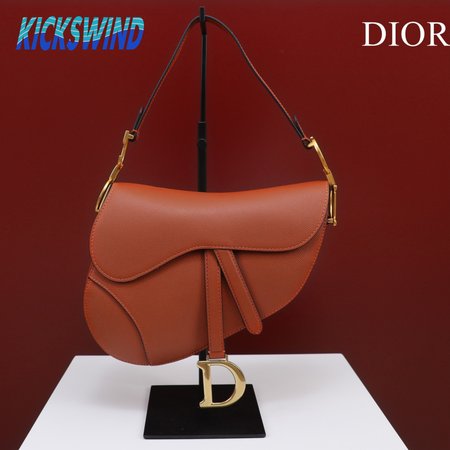 Dior Saddle M0446